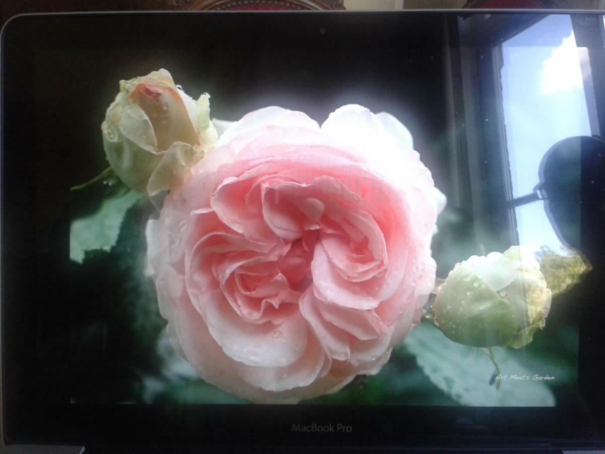 La Villa Des Roses ดูร์บี ภายนอก รูปภาพ