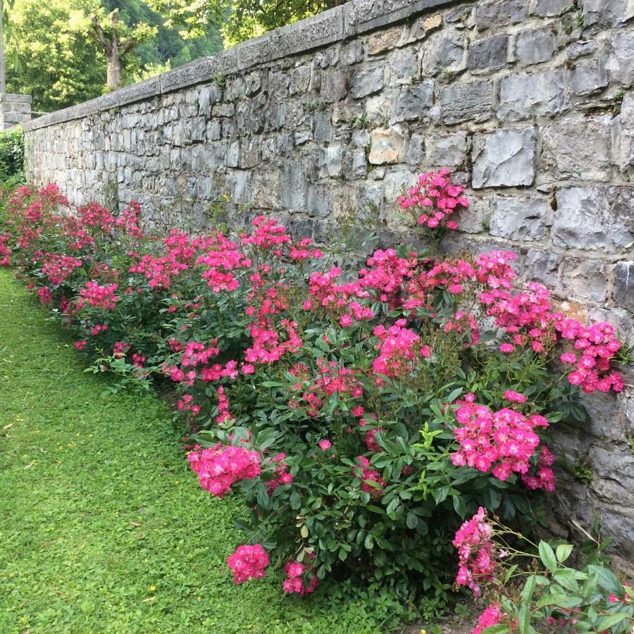 La Villa Des Roses ดูร์บี ภายนอก รูปภาพ