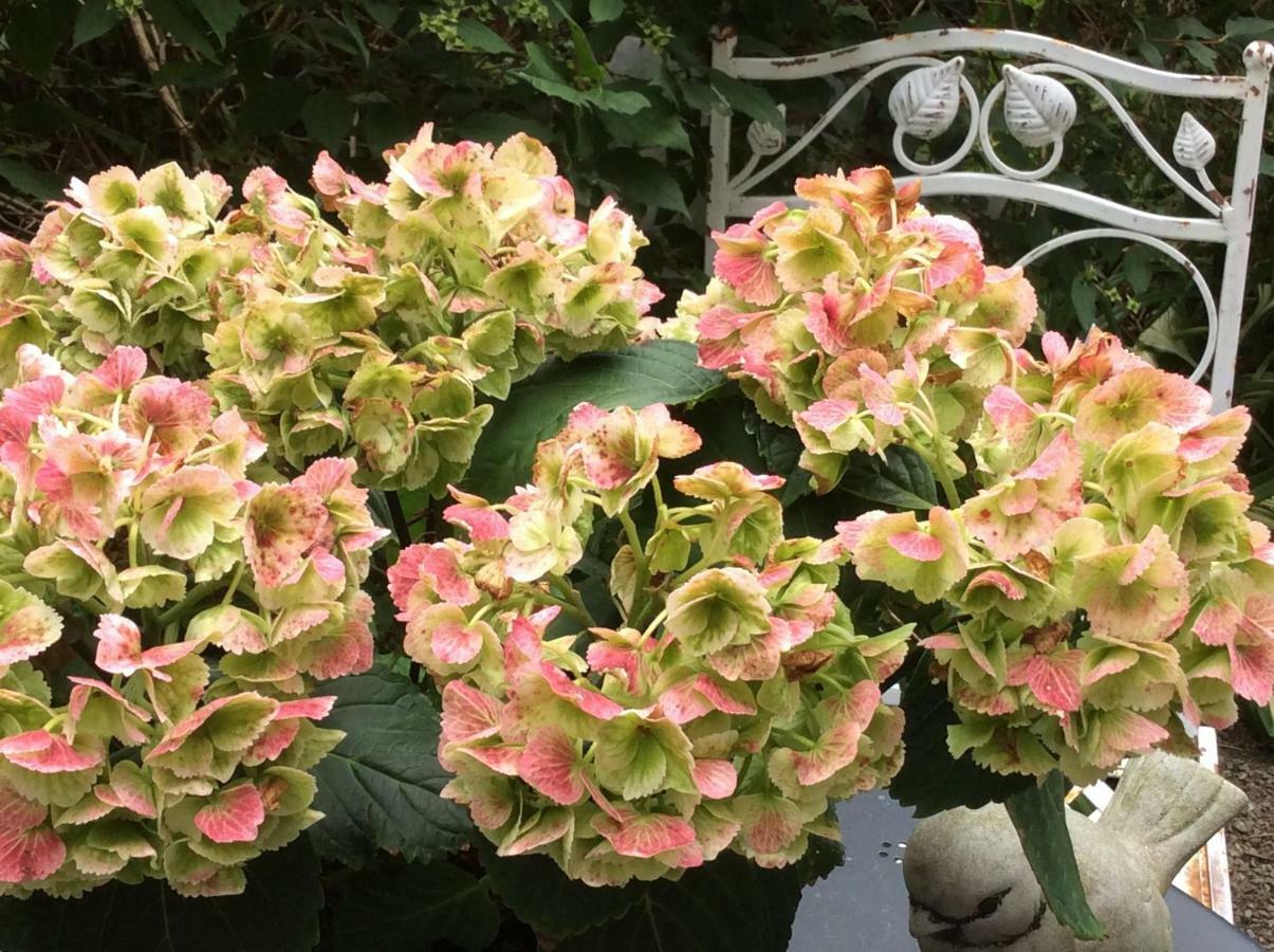 La Villa Des Roses ดูร์บี ภายนอก รูปภาพ